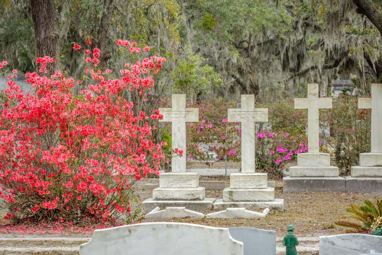 Bonaventure is one of the most beautiful cemeteries in the world