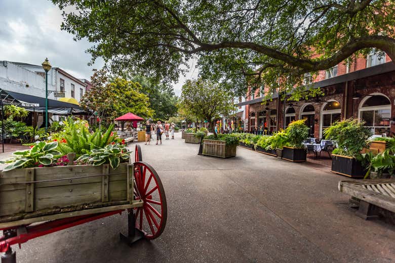 City Market
