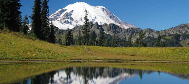 Excursión al Parque Nacional del Monte Rainier