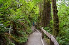 Olympic National Park Tour