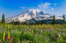 Excursión privada al Monte Rainier