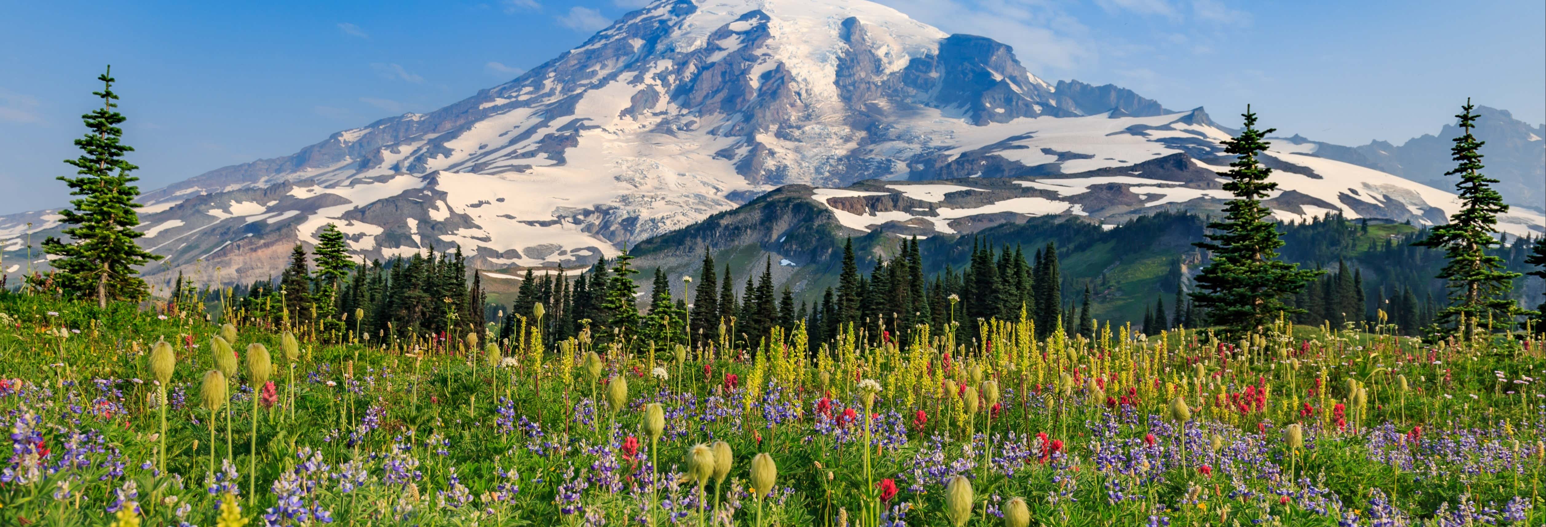 Day trips in Seattle