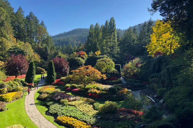 Visit the Butchart Gardens