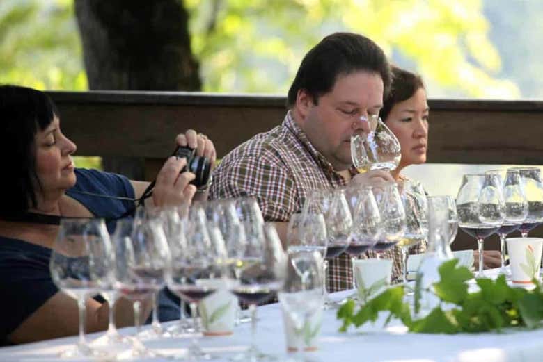 Wine tasting around Woodinville