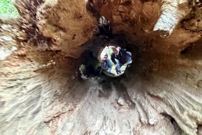¡Una foto entre la naturaleza!