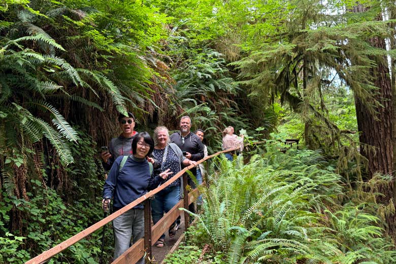 El grupo en el bosque de Quinault