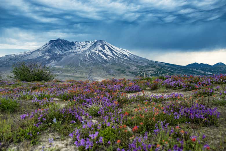 Contemplando il Monte Saint Helens