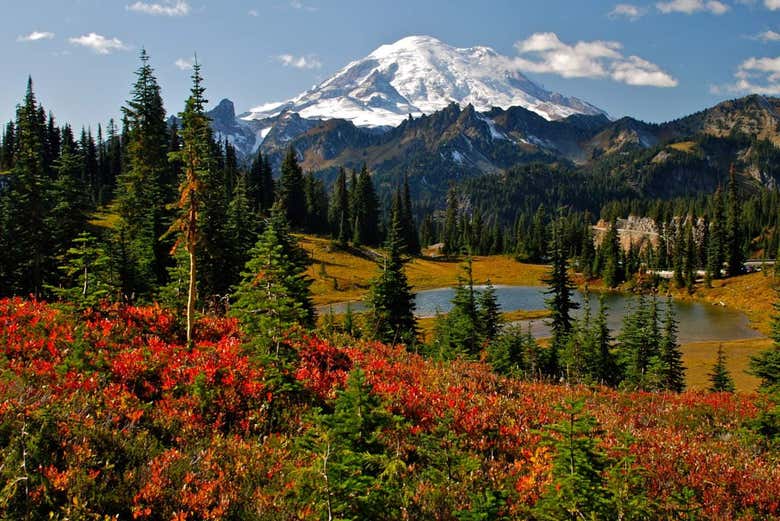 Paesaggi del Parco Nazionale del Monte Rainier