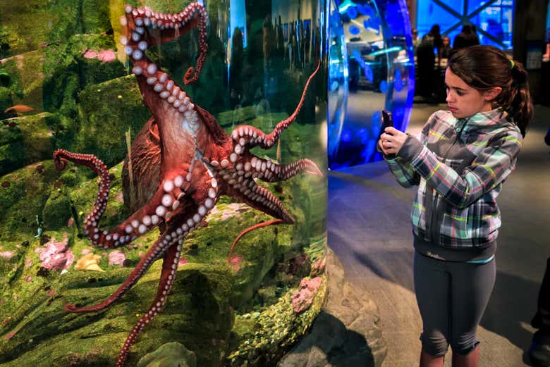 Seattle Aquarium