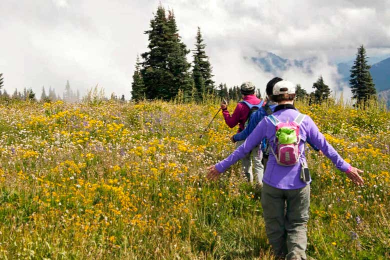 Trekking al Parco Nazionale Olympic
