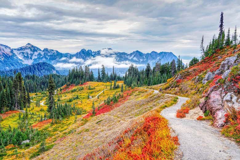 Sentieri del Parco Nazionale del Monte Rainier