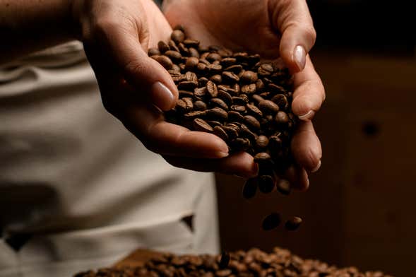 Visite sur le thème du café dans Seattle