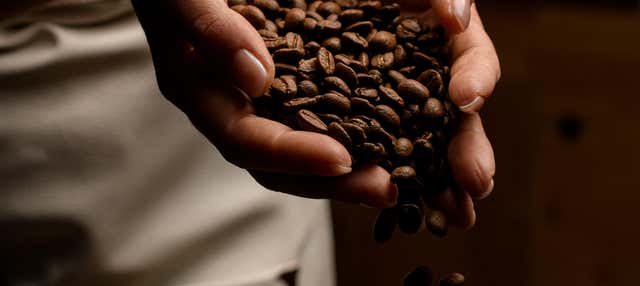 Visite sur le thème du café dans Seattle