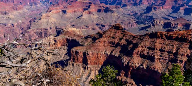Excursão ao Grand Canyon