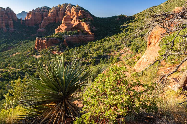 Explore the desert of Sedona