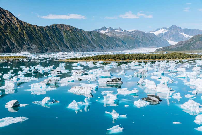 Las aguas de la laguna Bear Glacier