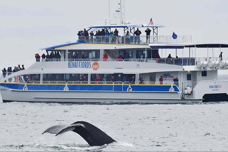 Crucero con avistamiento de ballenas en Alaska