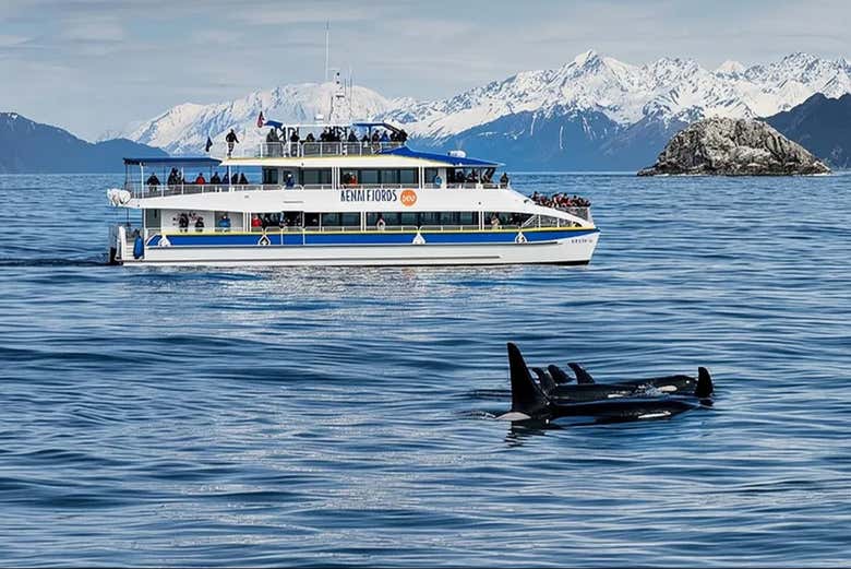 Veremos la fauna marina desde el barco