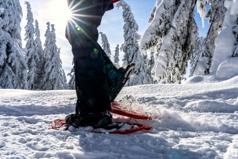 Hike across the winter wonderland