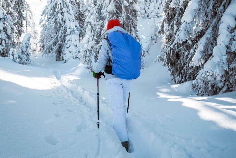 Immerse yourself in Alaskan nature