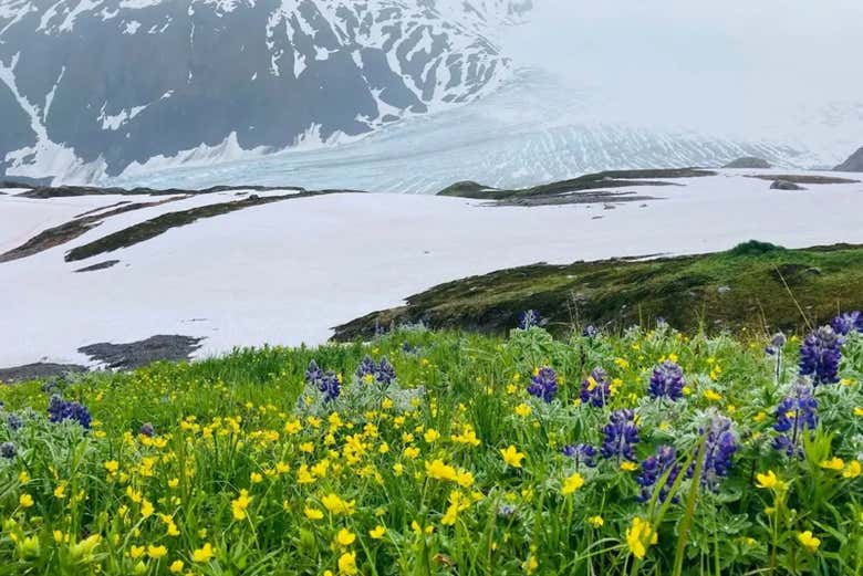 Paisajes que veremos durante la ruta
