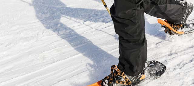 Paseo con raquetas de nieve por Seward