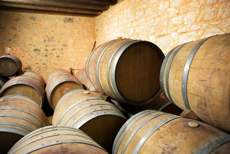Visitando una cantina di Sonoma