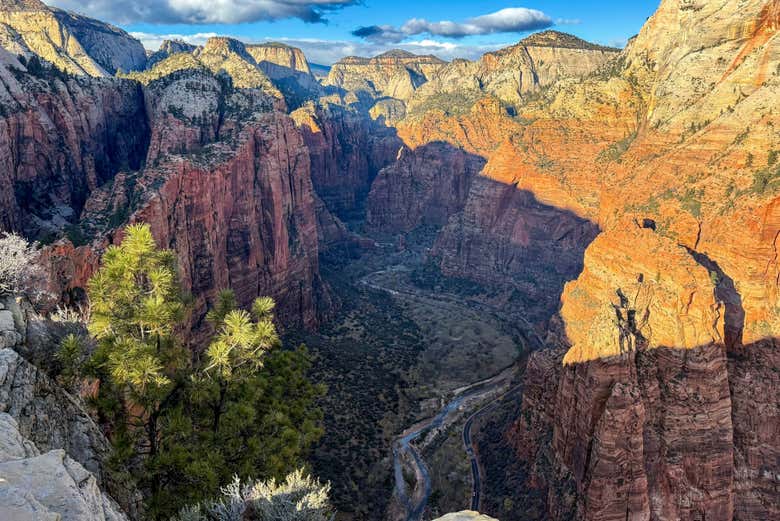 ¡Os enamoraréis de las vistas en Angels Landing!