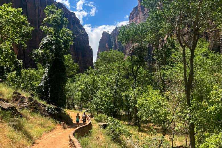 Senderos en el Parque Nacional Zion
