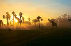Ingresso do Busch Gardens Tampa Bay