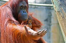 Tampa ZooQuarium Ticket