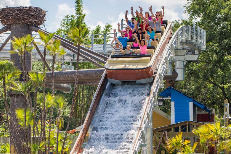 Atracciones acuáticas del zoológico