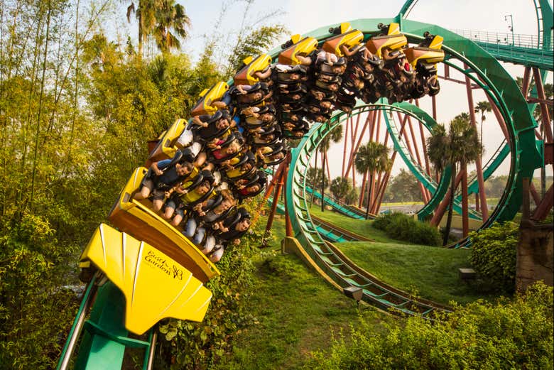 Busch Gardens Tampa Bay