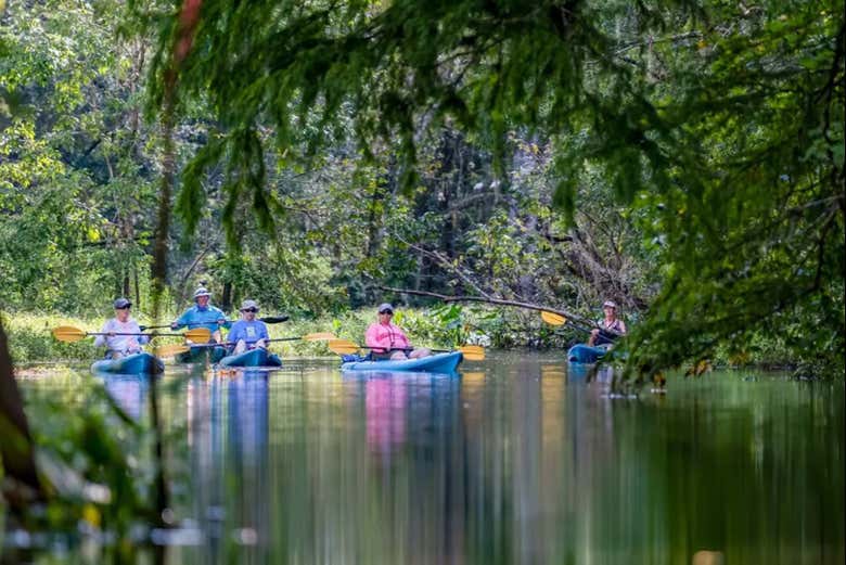 Grupo durante el tour en kayak