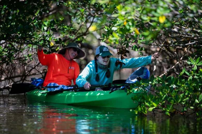 Pasando junto a los manglares de Tampa
