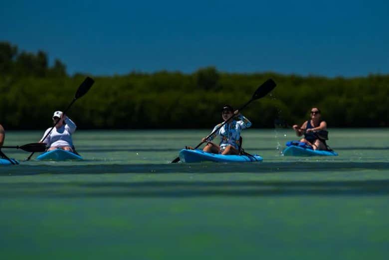 Navegando en kayak por Tampa