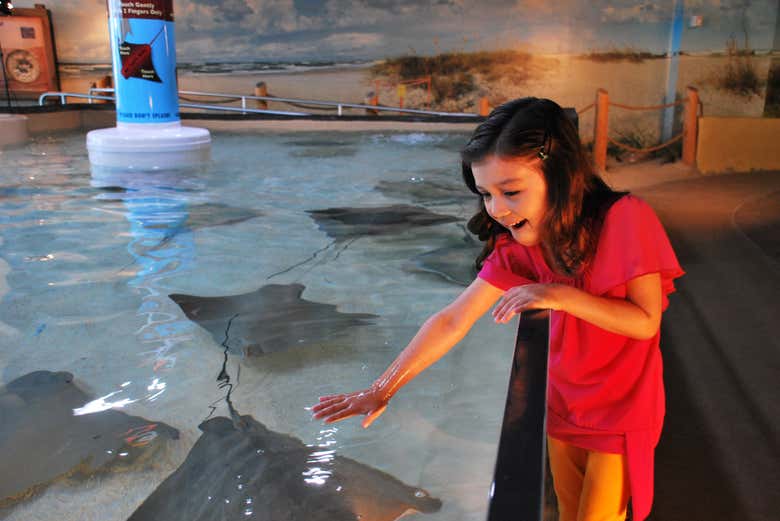The Florida Aquarium
