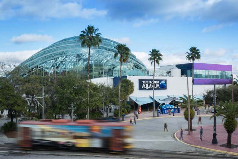 Bienvenidos a The Florida Aquarium