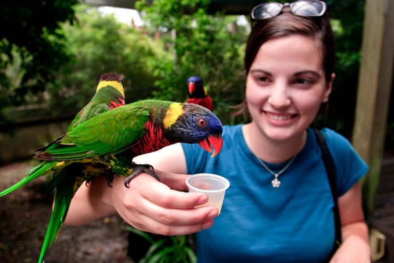 ZooTampa at Lowry Park