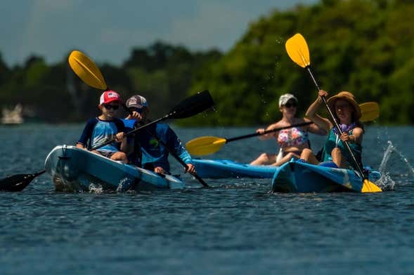 Balade en kayak à Tampa