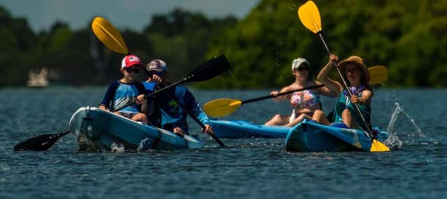 Tour en kayak por Tampa