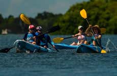 Tour en kayak por Tampa