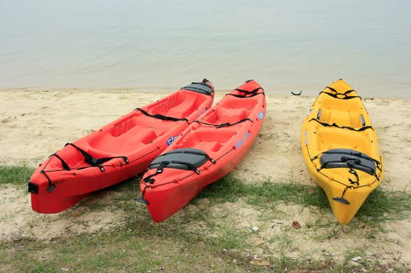 Tavernier Kayak Rental