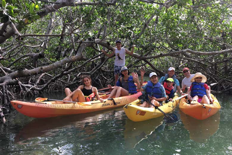 Discovering mangroves in Tavernier