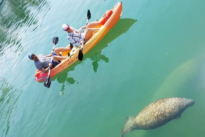 Kayaking in Tavernier