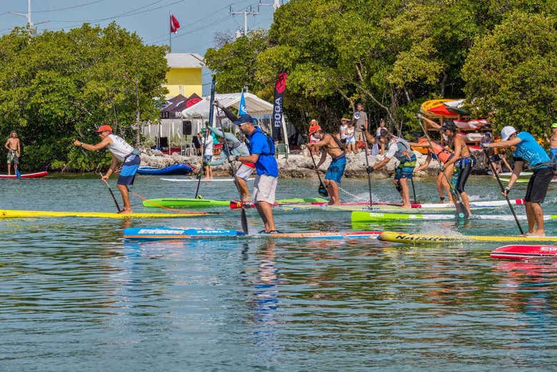 Paddle surf a Tavernier