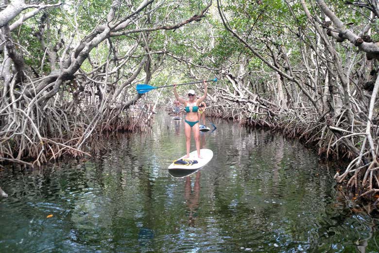 Paesaggi di Tavernier