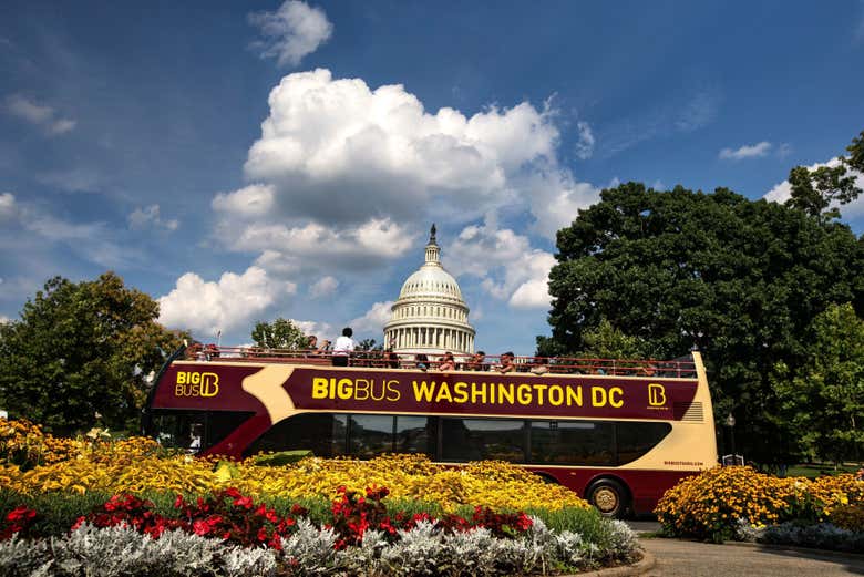 Discover the U.S. Capitol from an open-top bus