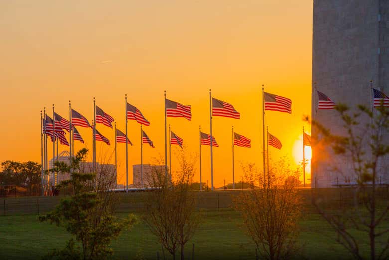 Drapeaux américains au coucher de soleil à Washington