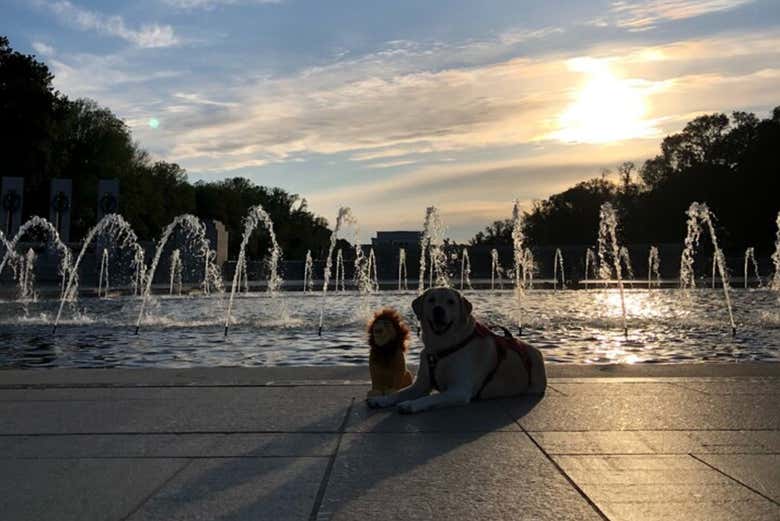 El estanque reflectante del monumento a Lincoln